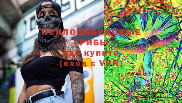 тгк Володарск