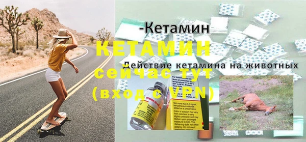 тгк Володарск