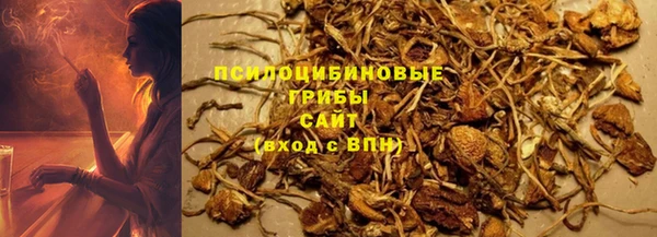 тгк Володарск