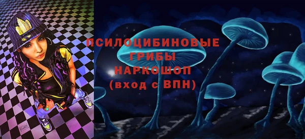 ПСИЛОЦИБИНОВЫЕ ГРИБЫ Волосово