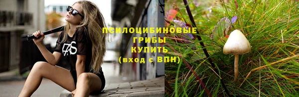 гашик Верхнеуральск