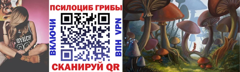 наркошоп  Джанкой  Галлюциногенные грибы Psilocybine cubensis 